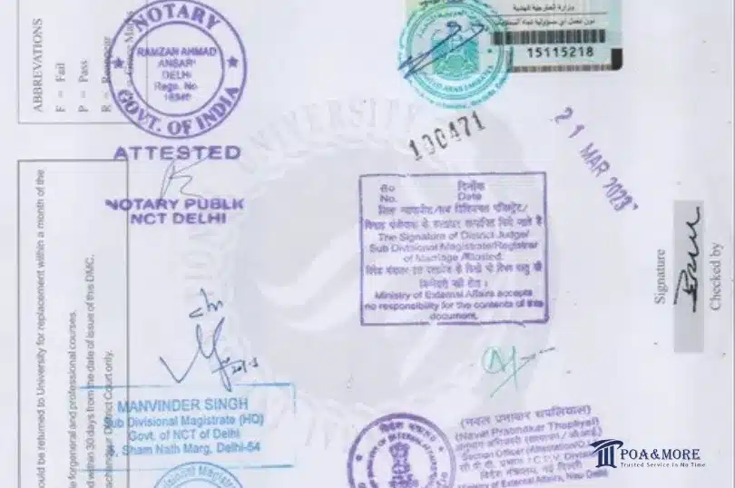 Document Legalization UAE: Save Time & Avoid Rejections 1 Document Legalization