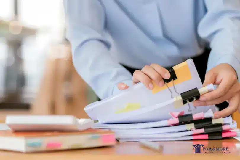 Document Preparation Services UAE: Accurate, Fast & Reliable 3 Document Preparation Services